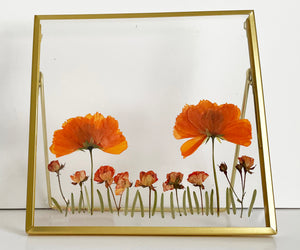 pressed flower and calligraphy glass frame, 압화와 손글씨의 특별한 유리액자